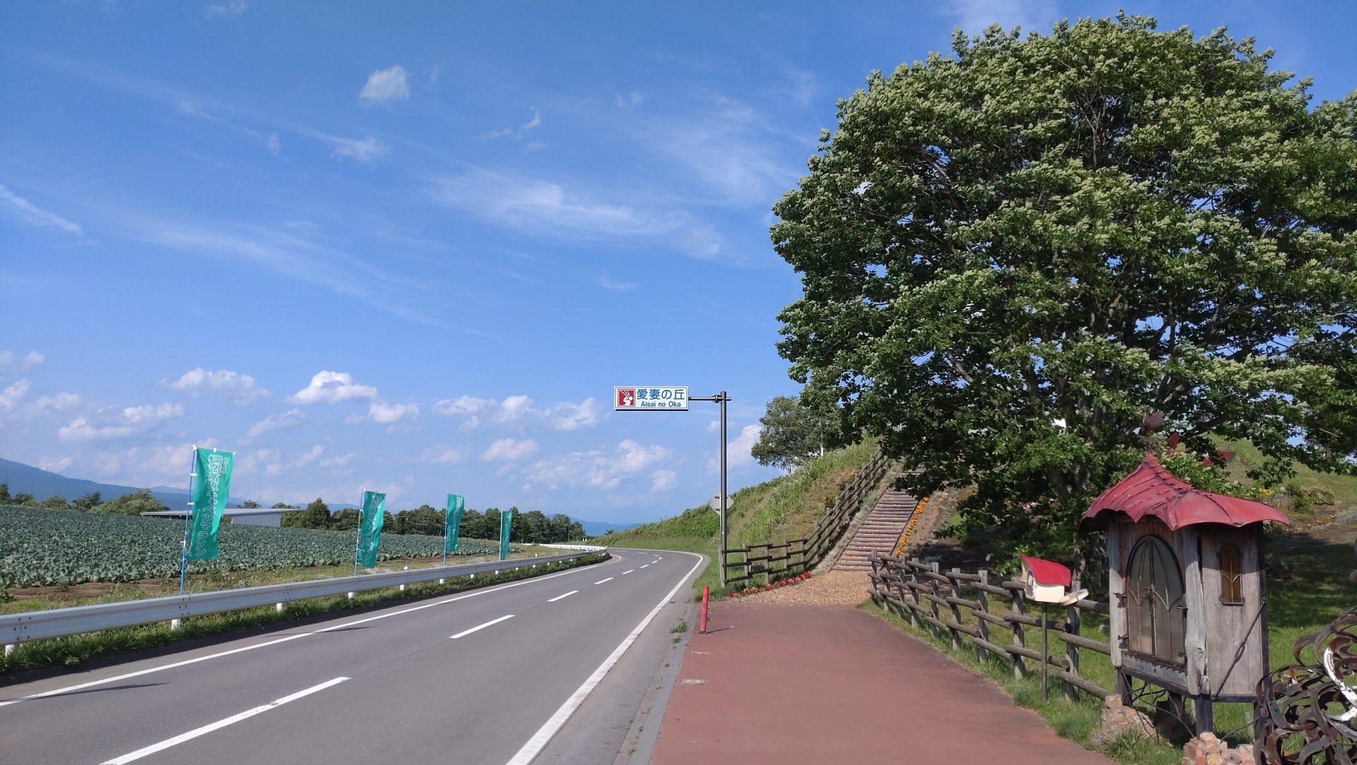 【道路】つまごいパノラマライン